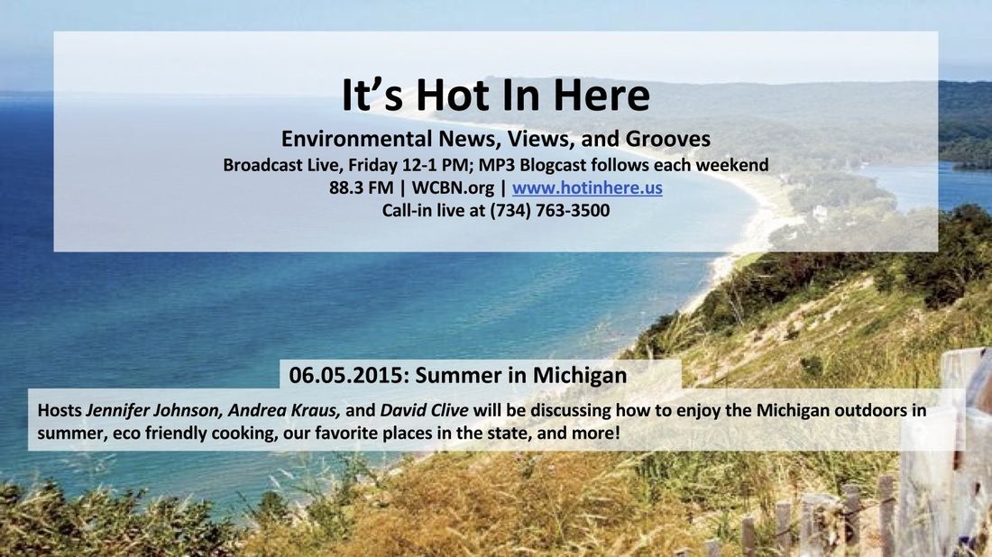 Cover image for Summer in Michigan