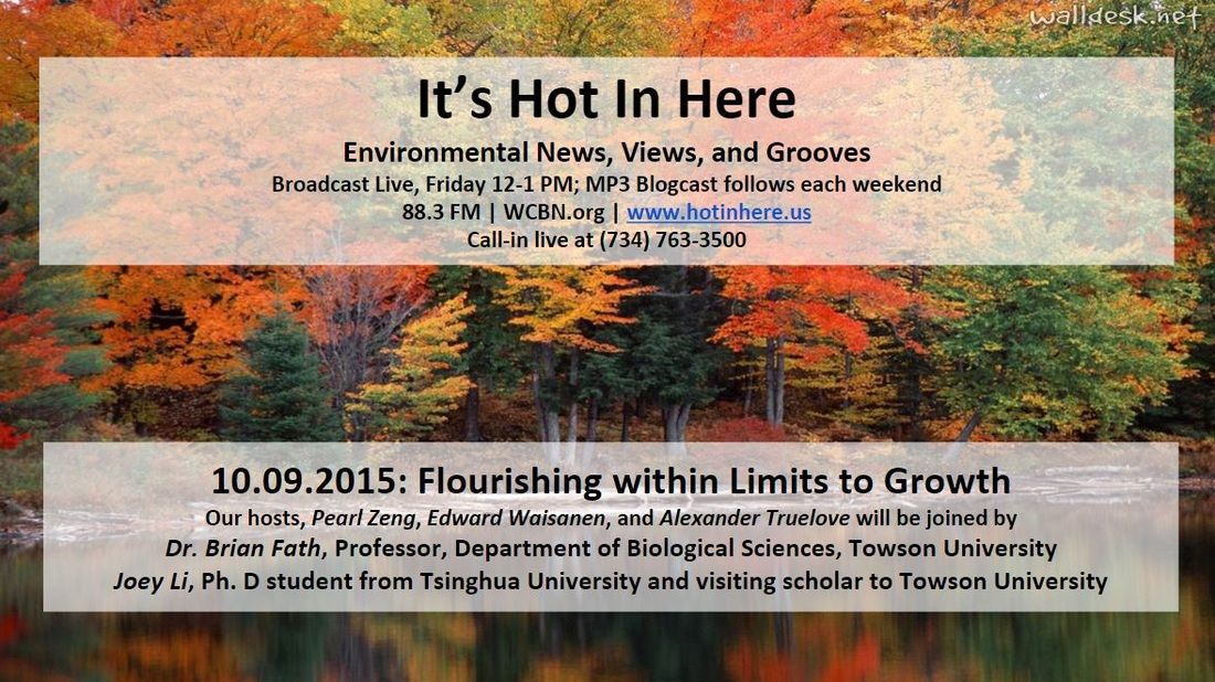 Cover image for Flourishing within Limits to Growth