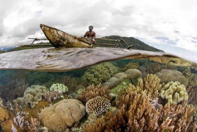Cover image for Financing Biodiversity Conservation: The Case of the Bird’s Head Seascape