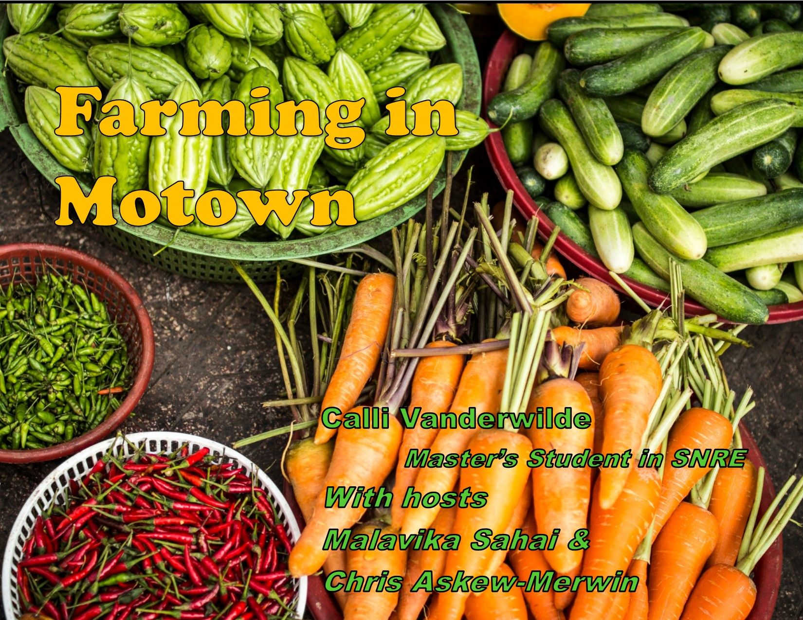Cover image for Farming in Motown