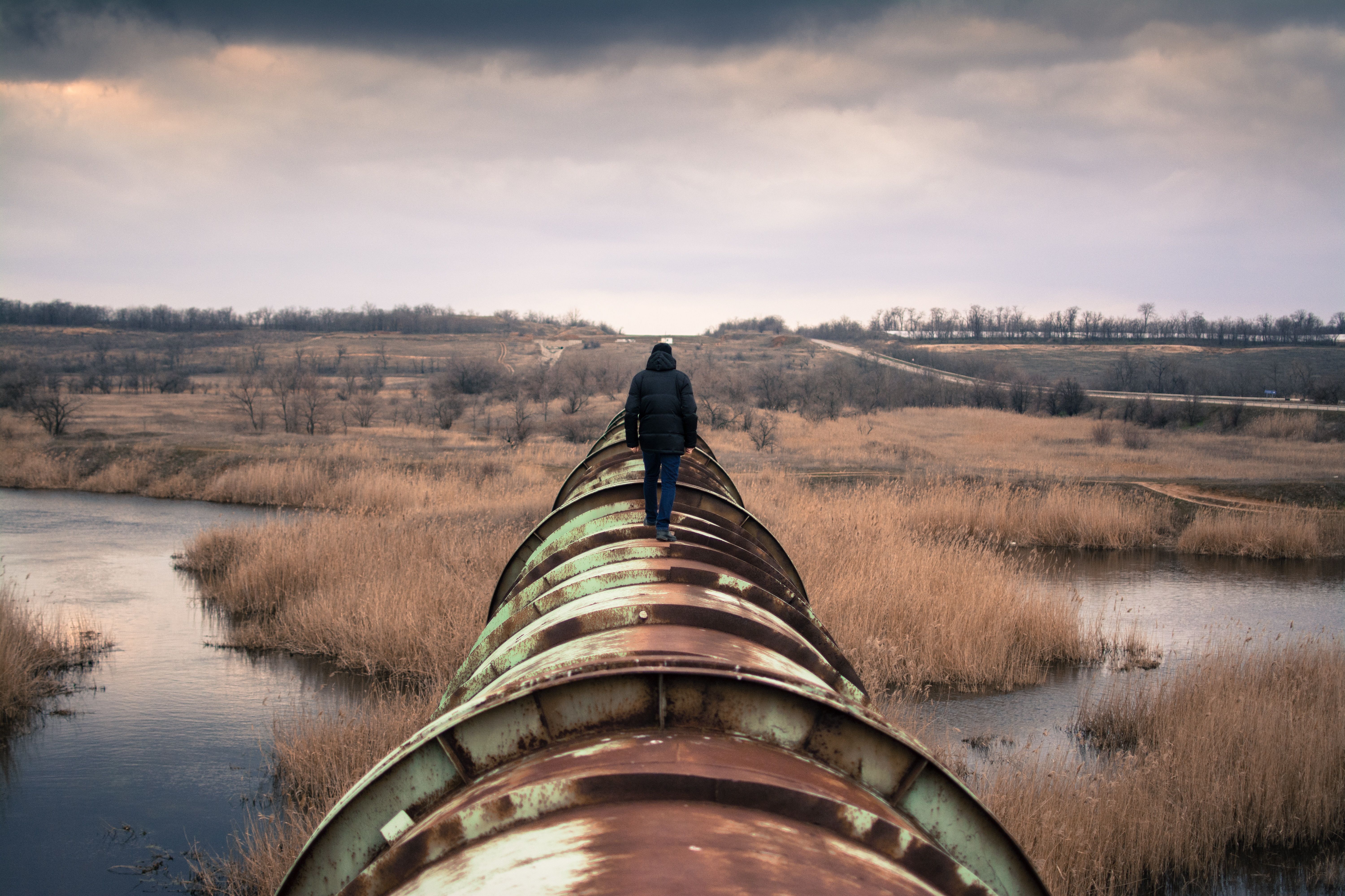 Cover image for Standing Rock, Part Two