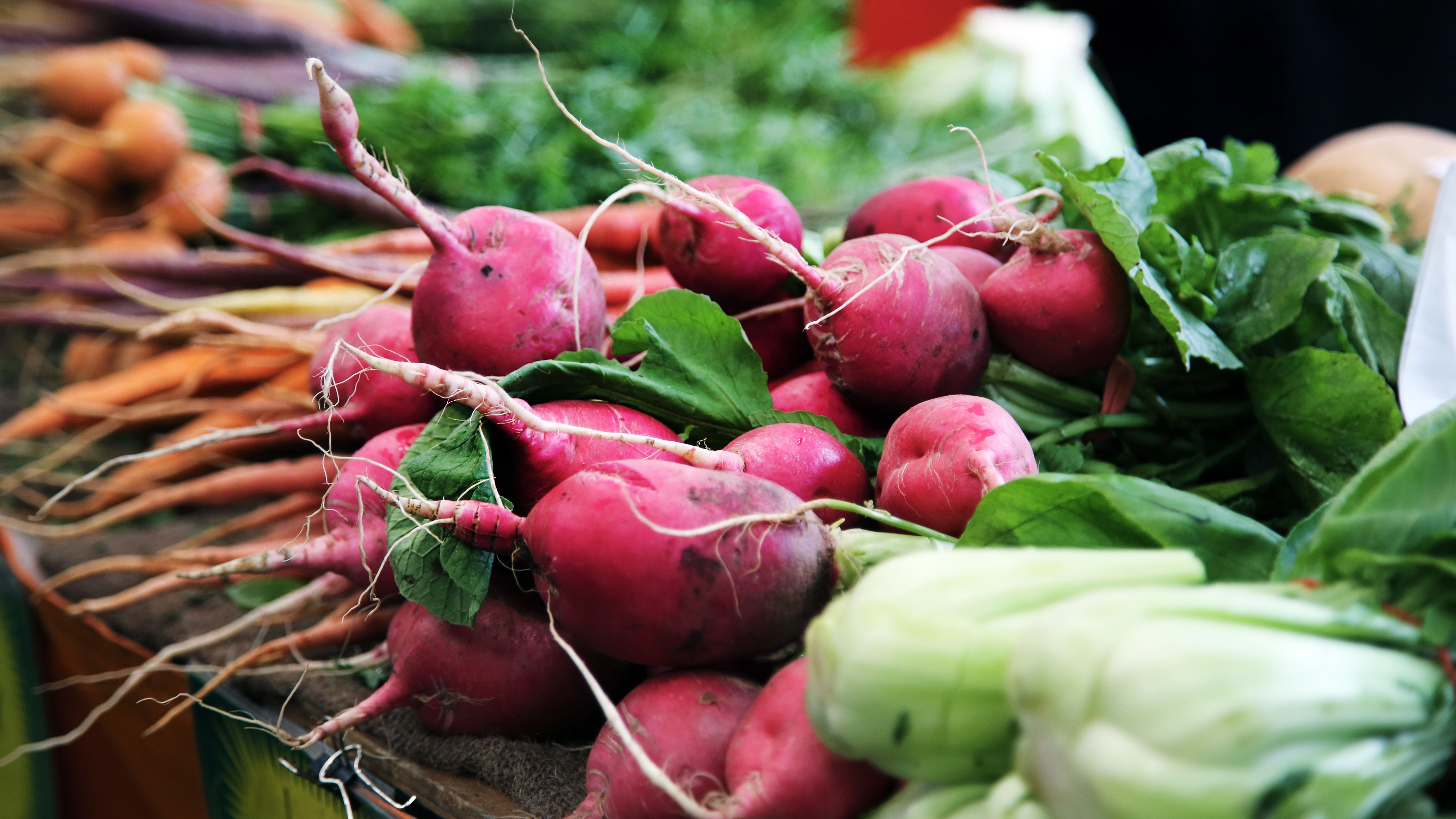 Cover image for The Founders of Food Literacy For All