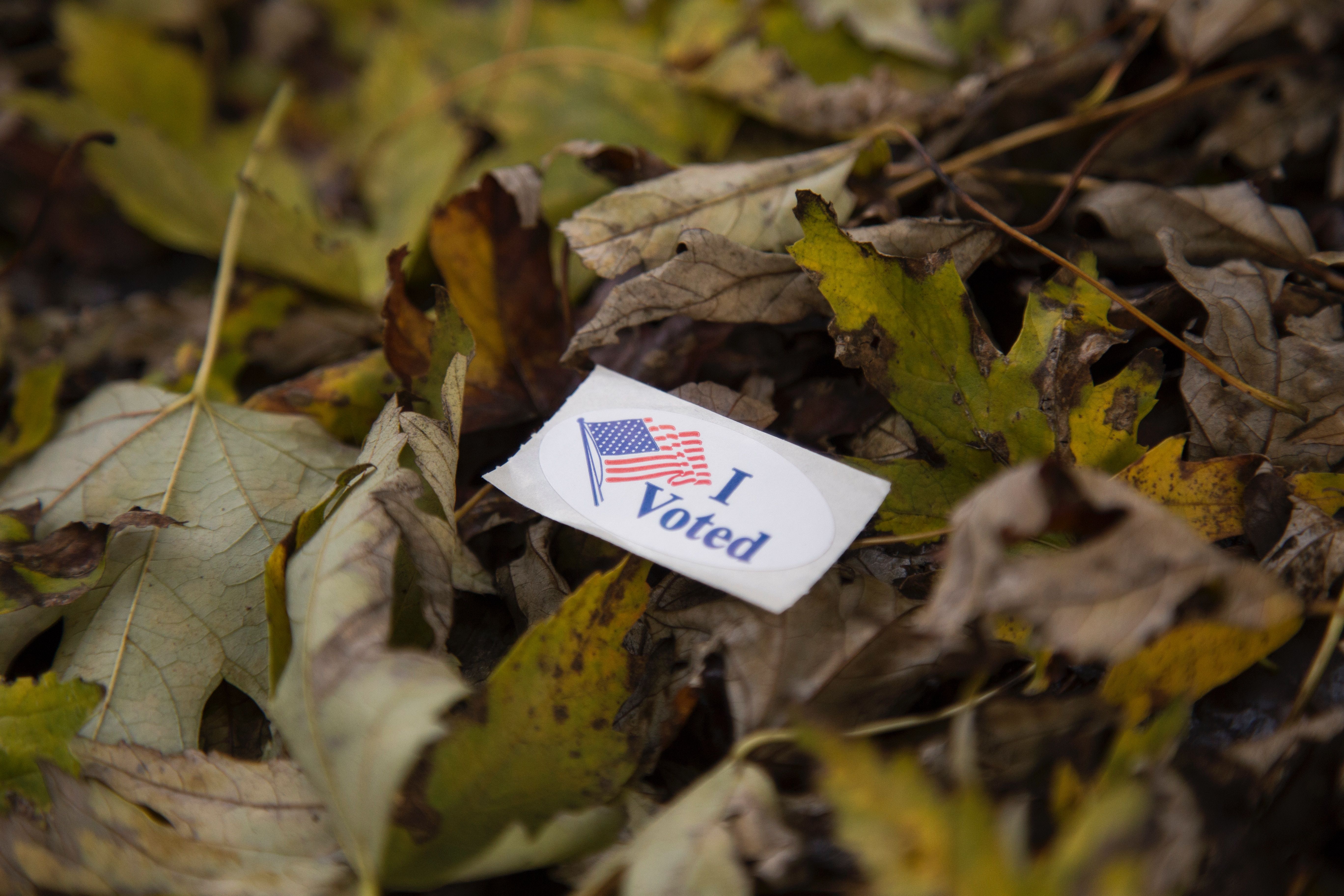 Cover image for How did the Environment Fare in the Midterms?