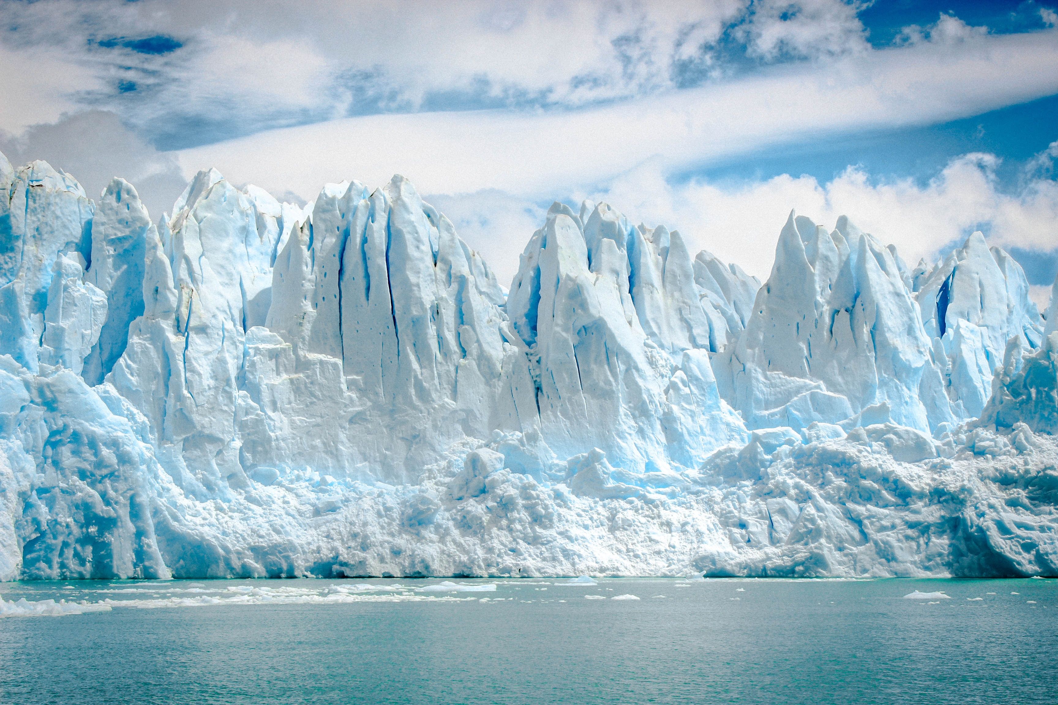 Cover image for The Environmental Music Show