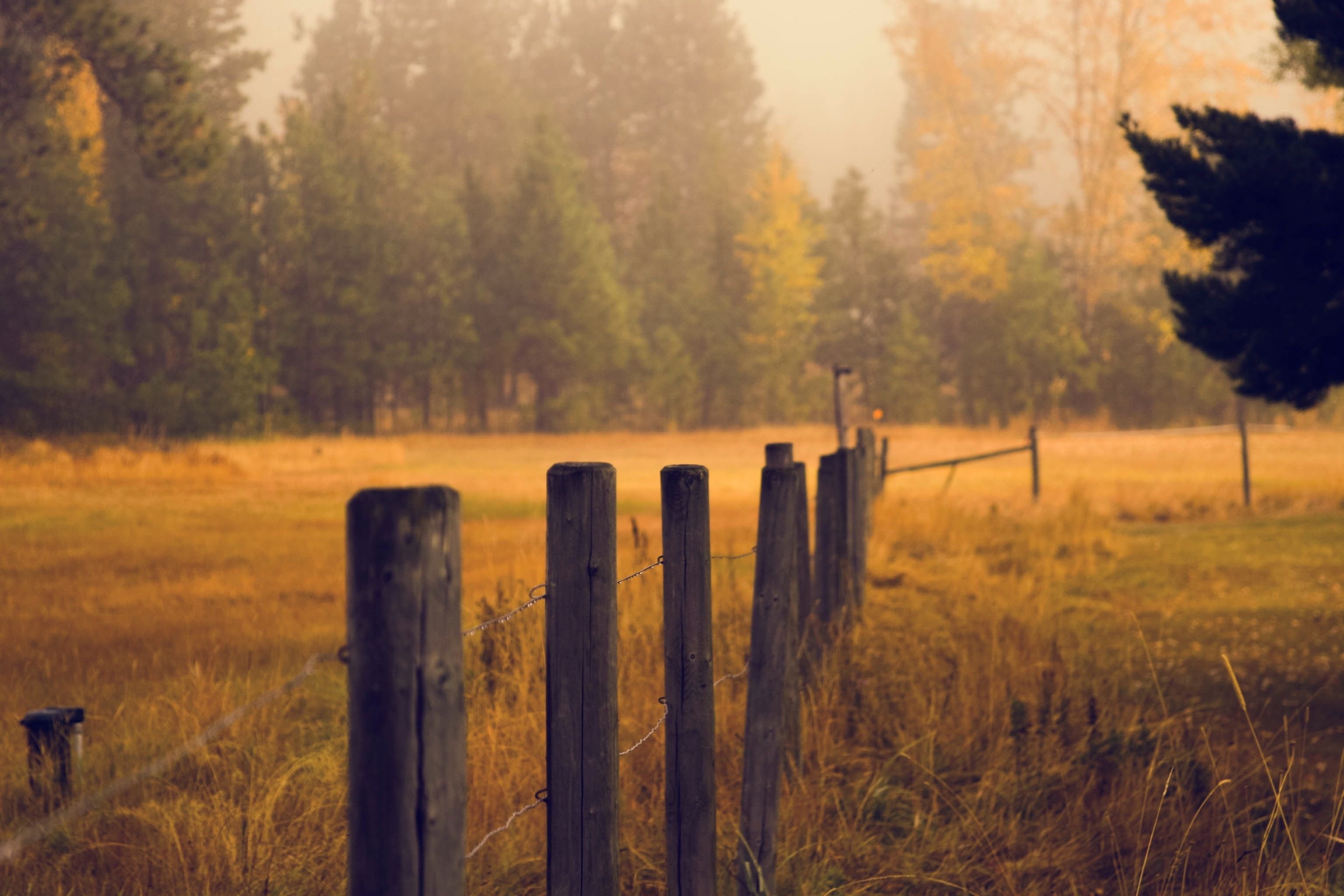 Cover image for Land Preservation in Washtenaw County