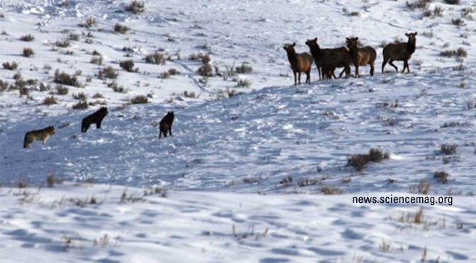 fear of ecology featured image